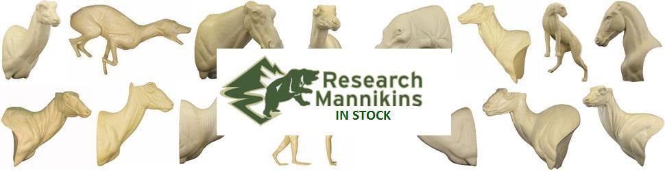 Research Mannikins are now in stock - Order Online today
